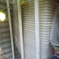 جانونی
