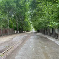 باغ-1250متر-سند-ششدانگ-چهار-دیوار-کردزار-کاسبی