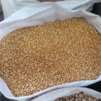 لوبیا|خوردنی و آشامیدنی|کرج, نوروزآباد|دیوار