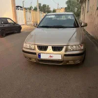 فروش سمندتمیزسالم و بی خرج مناسب مصرف کننده