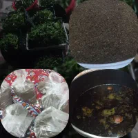 سبزی قرمه سبزی