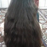 مومیخرم