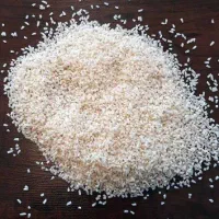 نیم دانه علی کاظمی