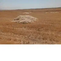 کاه گندم دیم