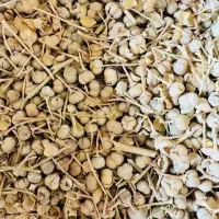 اسپند تمیز و امسالی 50 کیلو