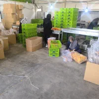 کارگر خانم تا 25 سال