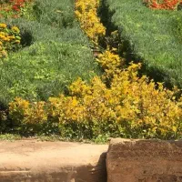 زمین-صدرا-فاز-یک-بلوار-البرز-خیابان-مهندسین