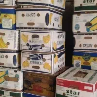کارتن موزی برای اسباب کشی
