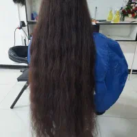 کوتاهی و برداشت موی طبیعی و رنگی بالای ۵۰سانت