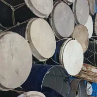 تولیدی دمام وپخش پوست و با کمترین قیمت دربازار