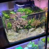 اکواریوم از تو دکور از من