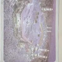 فیش عمره حرکت فوری