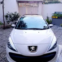 ۲۰۷پانا ارتقاء پلاس خشک