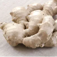 زنجبیل عمده و خرده