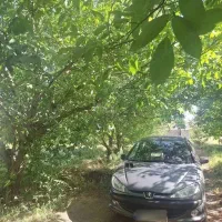 پژو ۲۰۶ اس دی رنگ دلفینی
