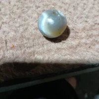 مهره برد