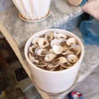 گلدان سفالی