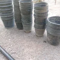 گلدان نشایی۱۲و۱۴