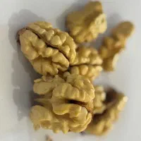 مغز گردو اعلا   برداشت جدید تویسرکان