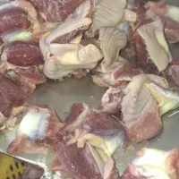 سنگدان