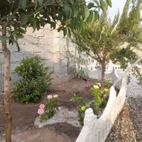 باغ و باغچه ۱۸۳ متری . دارای آب و برق و نگهبانی