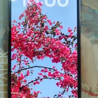 13pro|موبایل|لنگرود, |دیوار