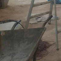 فرغون