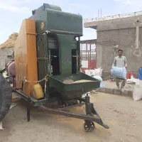 بوجاری سیار گندم و جو در هشترود