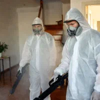 سمپاشی نوین با سموم نسل جدیدوتضمینی