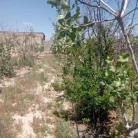 فروش-باغ-500-متری