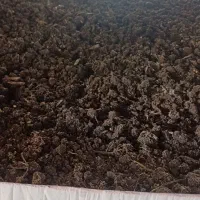 کود مخصوص نخل و زمین کشاورزی