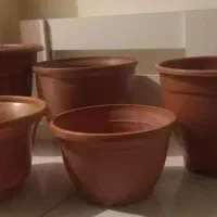 گلدان|گل و گیاه طبیعی|پرند, فاز ۶|دیوار