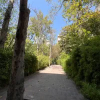 مستغلات ۶۰۰ متر الهیه دسترسی ولیعصر مناسب مشاغل