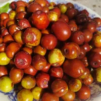 عناب تازه محلی