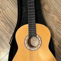 گیتار پارسی M2