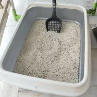 جای خاک گربه+ وبیلچه +وخاک