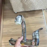 شیر برنجی طوفان