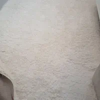 پالاز موکت سفید