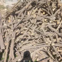 خرید و برش چوب در محل شیراز حومه