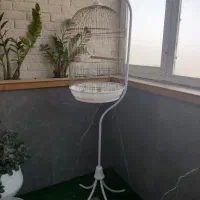 قفس پرنده