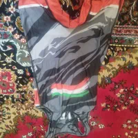 لباس و کفش کشتی بزرگسالان