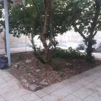 خانه
