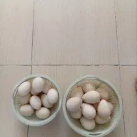 تخم بوقلمون