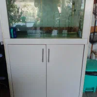 اکواریم بزرگ در حد