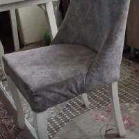 میزنهارخوری سالم