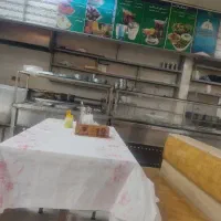 سالندار خانم مسلط به زبان عربی