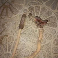 منیفولد دود و انبار وسط و لوله کاتالیزور پژو