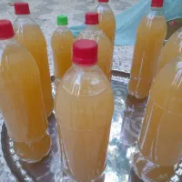 ابغوره تازه، ترش وخوشمزه