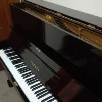همخونه اهل موسیقی
