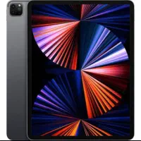 I Pad pro 2021 sim